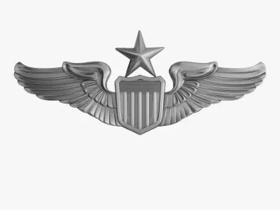 US Air Force Senior Pilot Wings Badge 3D print model