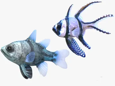 Banggai and Orbiculate Cardinalfish 