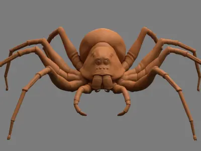 Spider Low-poly 3D model 8