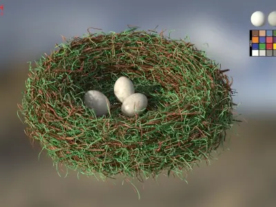 Bird Nest 3D model 5