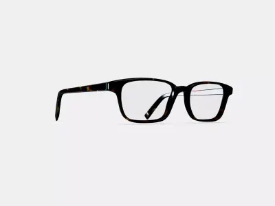 Crane Eyeglasses in Whiskey Tortoise 3D model