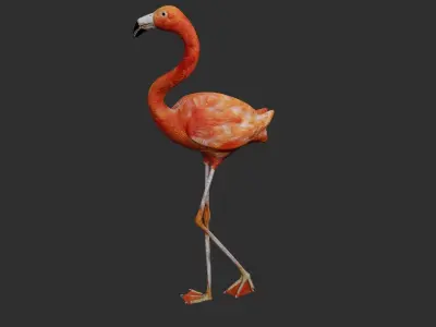Flamingo Low-poly 3D model purchase