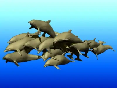 A pod of Dolphins 3D model
