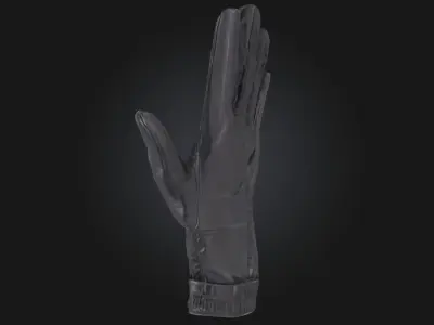 Gloved Hand Protective Handwear Model 3D model