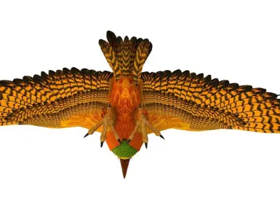 LowPoly the Mythical Bird Predator Roc Low-poly 3D model
