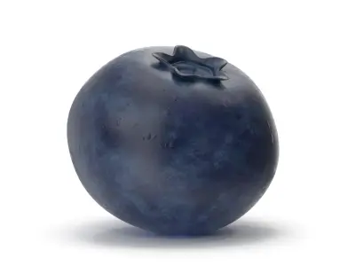 Blueberry 3D model