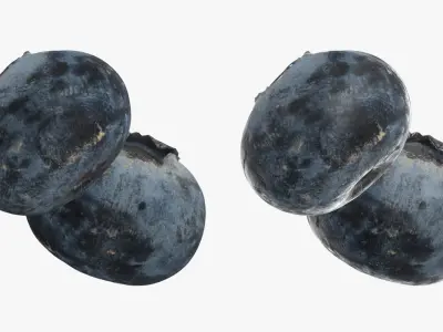 Blueberry - 3D Scanned Collection 3D model