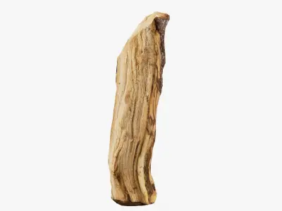 Scanned Tree Wood 11 3D model