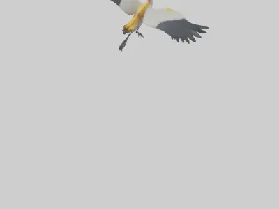 Crane flying model 3D model