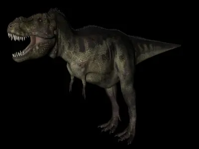 Tyrannosaurus rex Low-poly 3D model 3