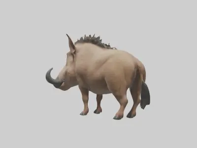 Standing Warthog Model Low-poly 3D model