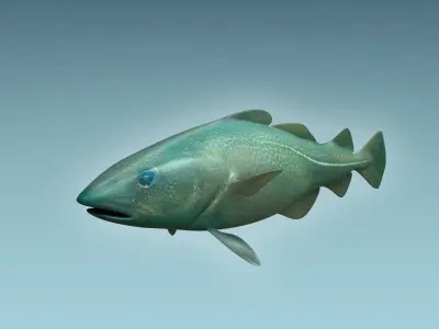 Cat Fish 3D model purchase
