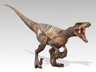 Velociraptor Low-poly 3D model 3