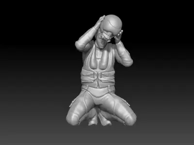 air force pilot military 3 3D print model