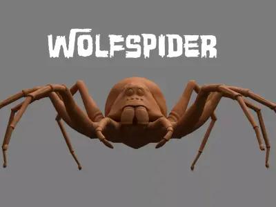 Spider Low-poly 3D model 8
