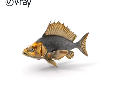 Realistic Fish D Model Pack with Detailed Textures Low-poly 3D model