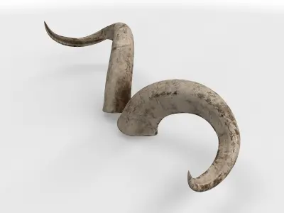 rolled horns 01 3D model purchase