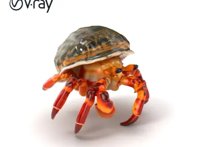Hermit Crab Detailed Marine Creature model pack Low-poly 3D model
