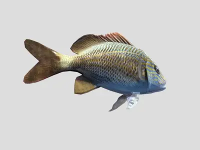 White  Grunt Low-poly 3D model