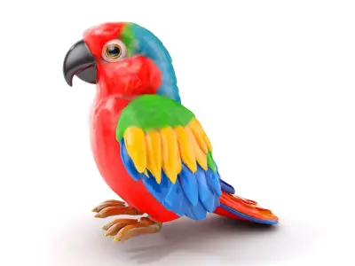 Colorful Parrot D Model Pack for Animation and Games Low-poly 3D model