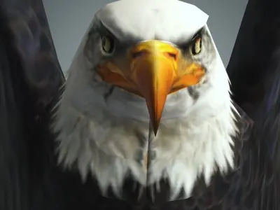 Bird Eagle with animation Low-poly 3D model