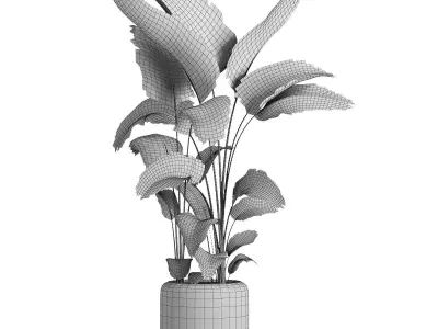 indoor plant 056 3D model