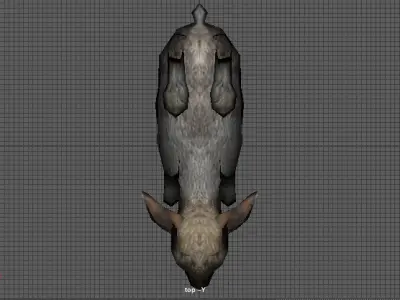 rabbit bunny  hare 3D model