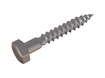 lag Bolts 3D Model 3D model