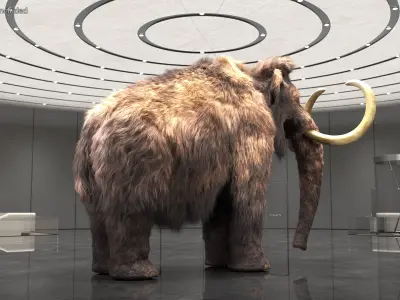  Mammoth Adult Fur Rigged 