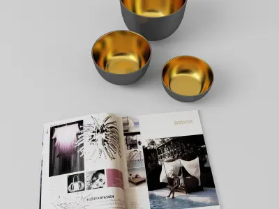 Bowls and Magazine - FREE Free 3D model