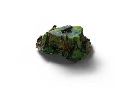 Forest Tree Stump 4K -Part 7- Free low-poly 3D model