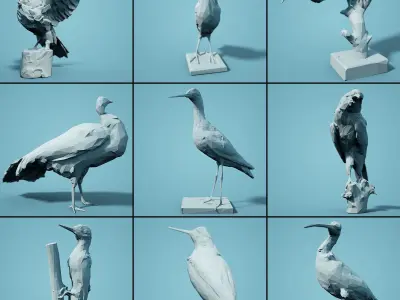 Low Poly bird Collection Low-poly 3D model