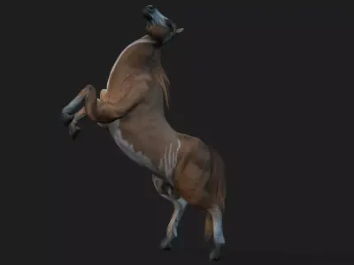 Horse A3 Free 3D model