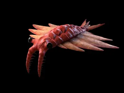 Anomalocaris Canadensis Static 3D model purchase