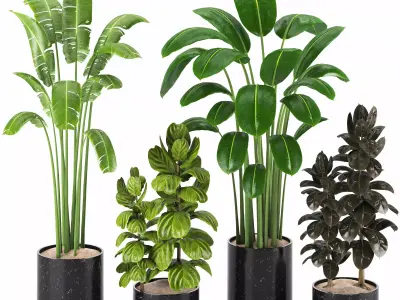 Indoor Plants in Ferm Living Bau Pot Large - Set017 3D model