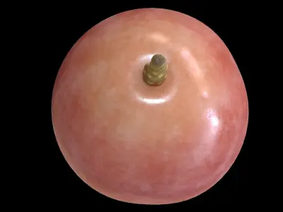 Grape01LowPoly plum Low-poly 3D model