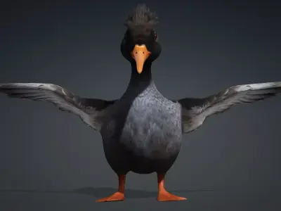 Duck-B5 3D model