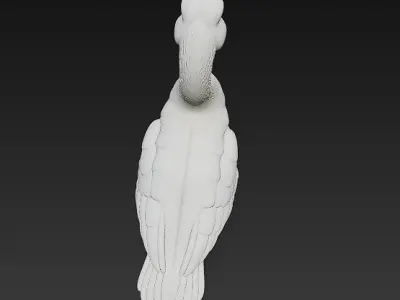 Duck White 3D Model Basic - Low Poly Simple Low-poly 3D model