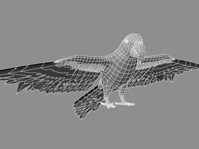 Gold Macaw 3D model