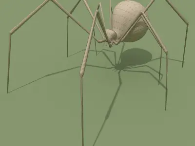 Black Widow Spider 3D model