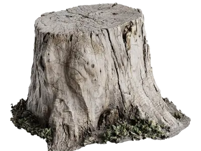  Short Cut Old Bare Stump Model 