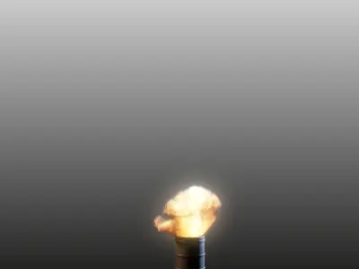 Explosion VDB Animated 3D model