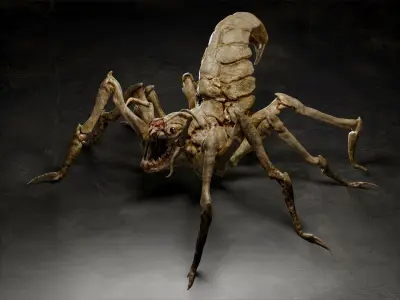 Spider creature 3D model