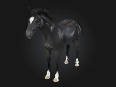 Midnight Elegance  Radiant Sophistication in the Depth of Night 3D model