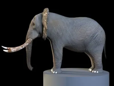 Elephant mammoth skull Low-poly 3D model