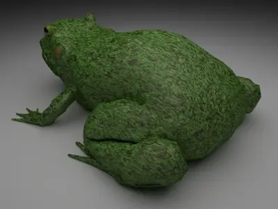 Rough Green frog - Cartoon Style Free low-poly 3D model