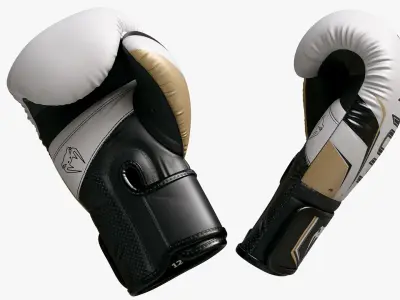 Boxing Punch Gloves White Venum Elite Evo 3D model