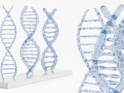 DNA Double Helix Models with Display Stand Blue 3D model