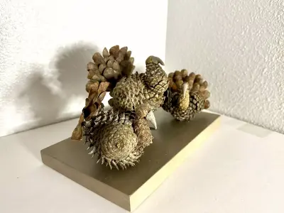 Handcrafted Pine Cone Sculpture High  Poly 3D Model OBJ FBX  Low-poly 3D model