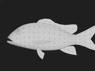 Snapper Low-poly 3D model 7